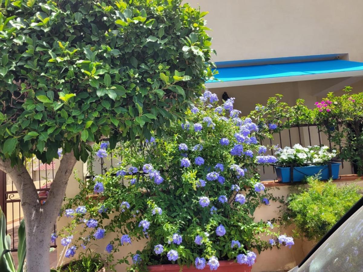 My Little House - Appartamento Con Patio E Parcheggio Privato A 5 Minuti Dalla Spiaggia E Dal Centro トロペーア エクステリア 写真