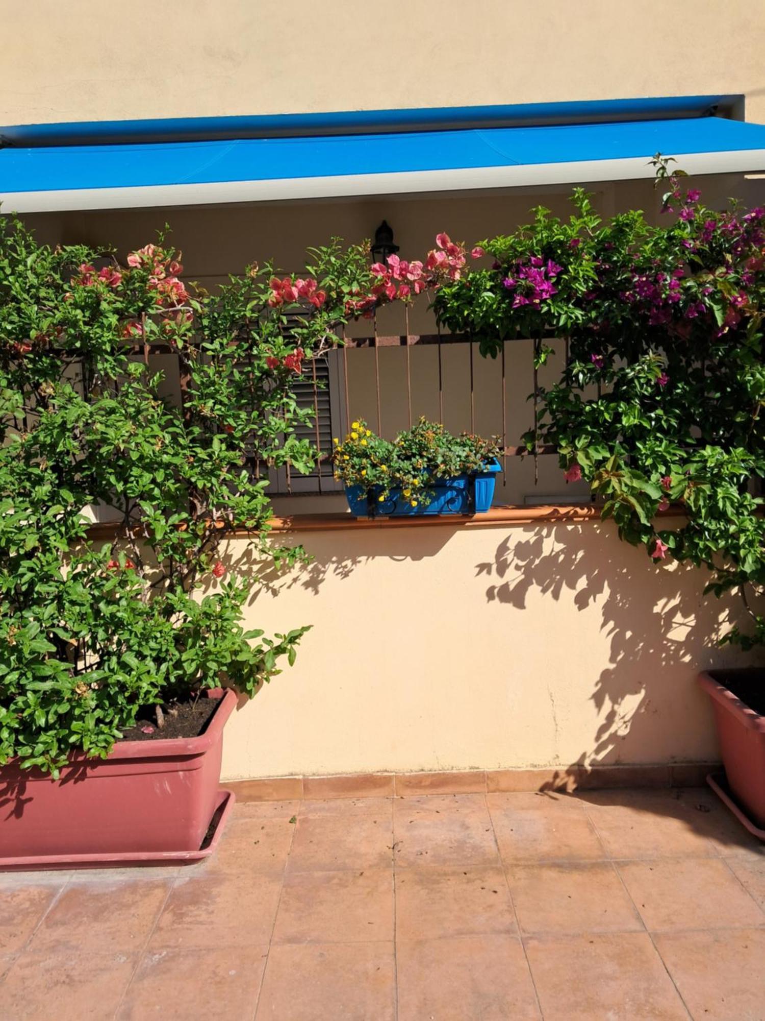 My Little House - Appartamento Con Patio E Parcheggio Privato A 5 Minuti Dalla Spiaggia E Dal Centro トロペーア エクステリア 写真